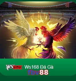 fbv88